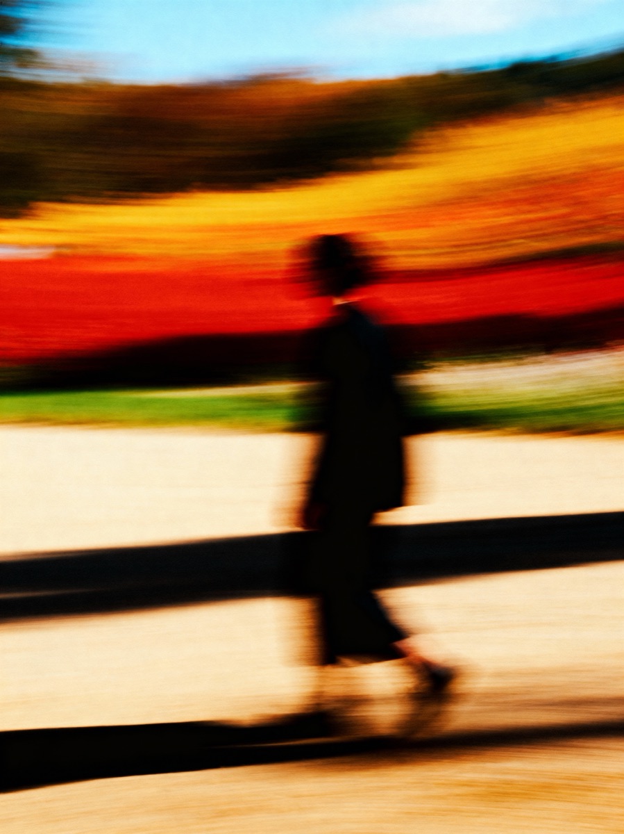Nature In Motion 14