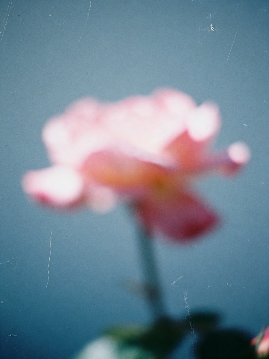 Nature In Motion 15
