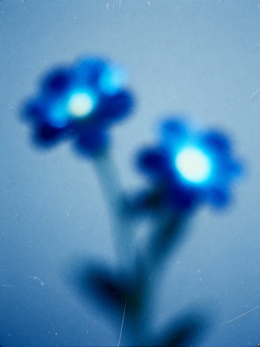 Nature In Motion 16
