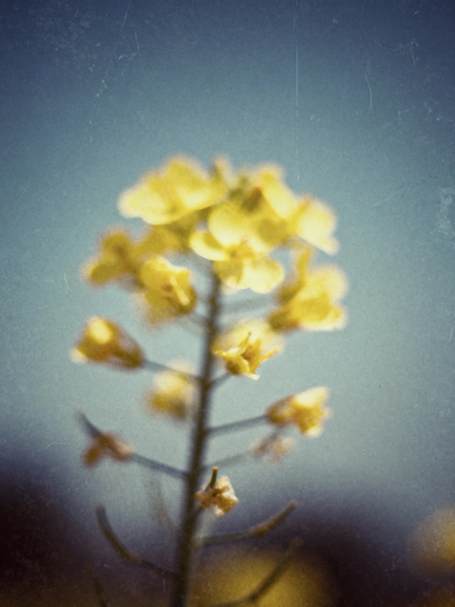 Nature In Motion 17