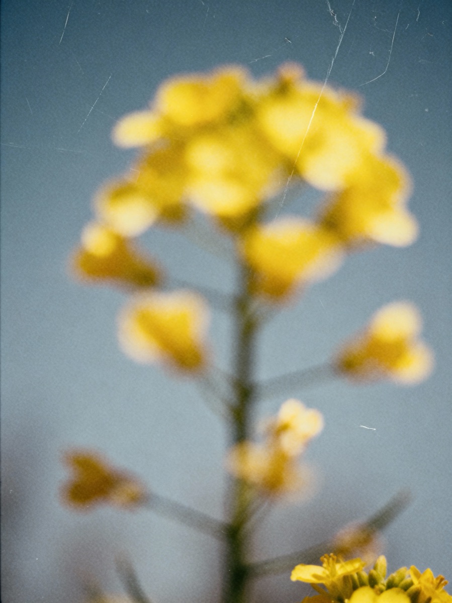 Nature In Motion 18