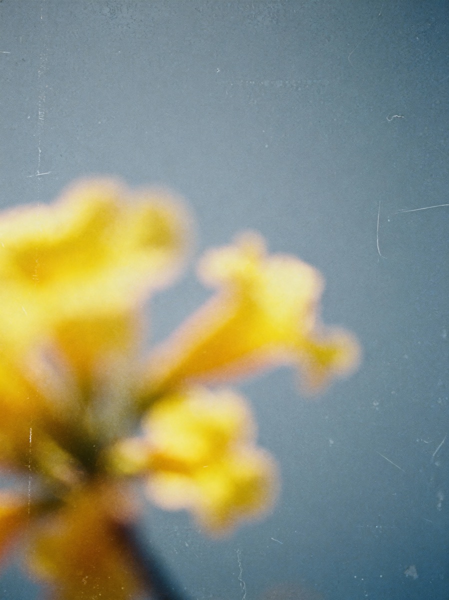 Nature In Motion 19
