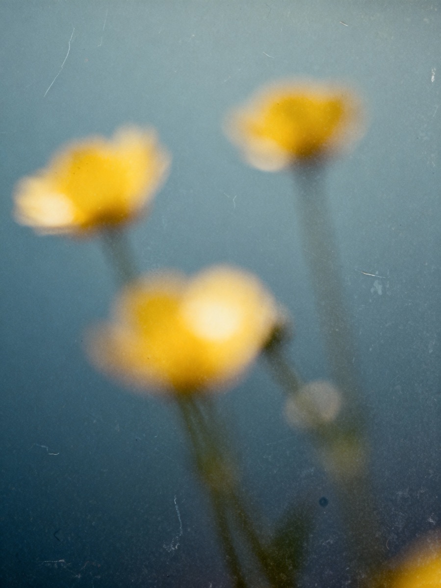 Nature In Motion 20