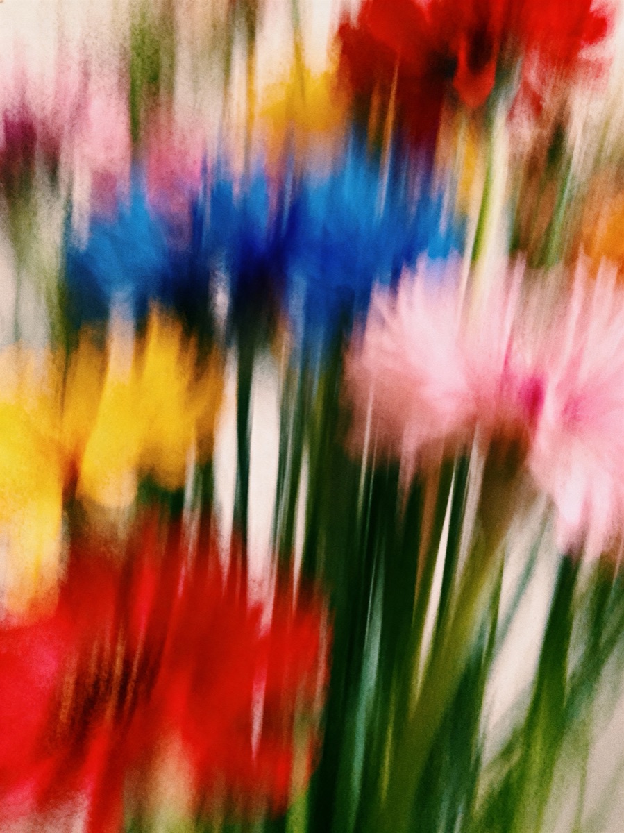 Nature In Motion 21