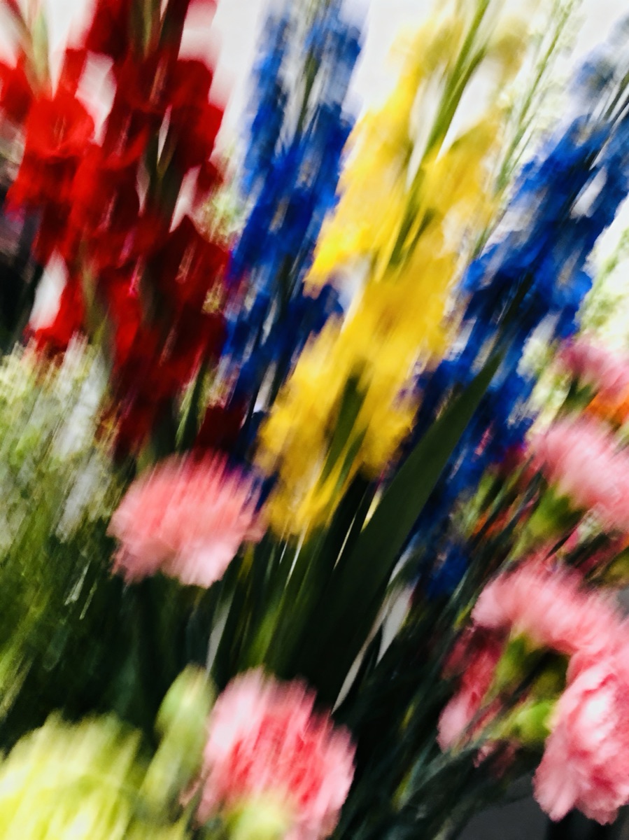 Nature In Motion 23