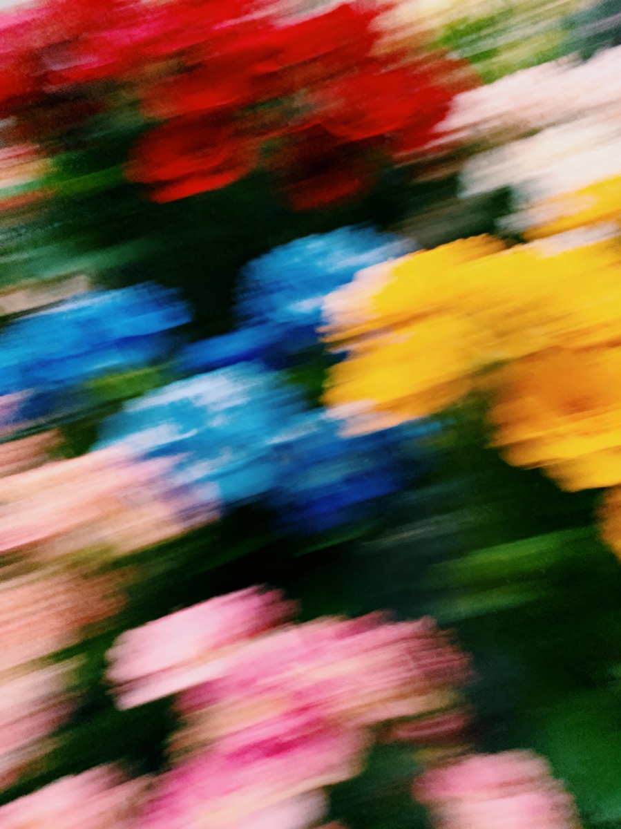 Nature In Motion 24