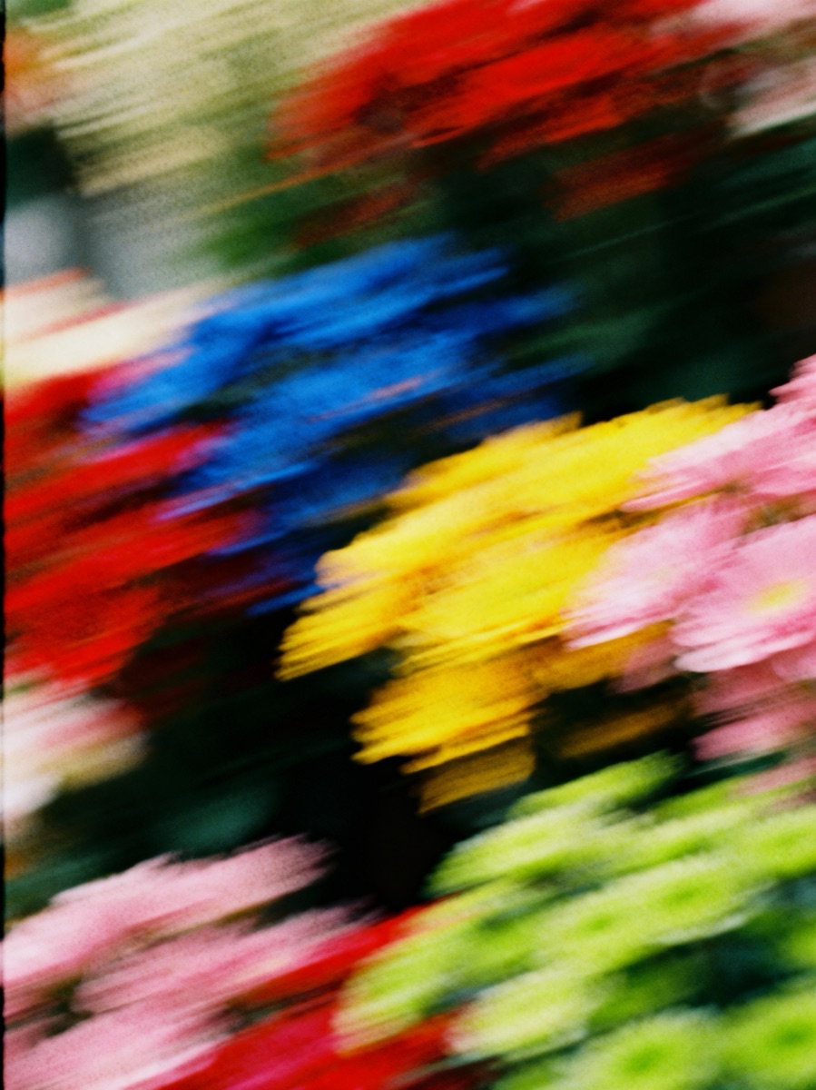 Nature In Motion 25