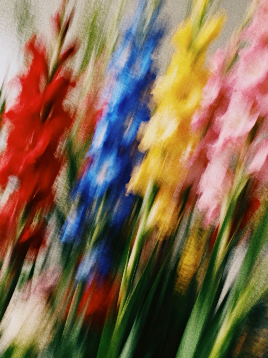 Nature In Motion 26