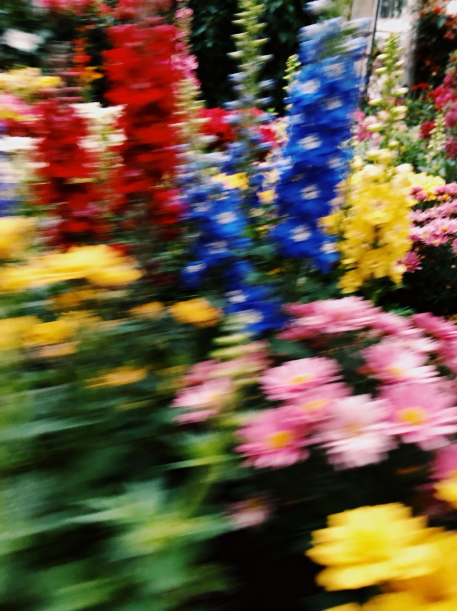 Nature In Motion 27