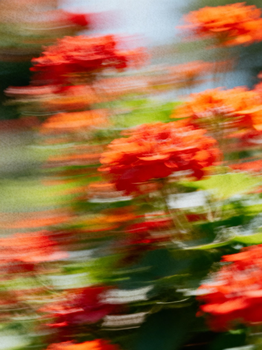 Nature In Motion 28