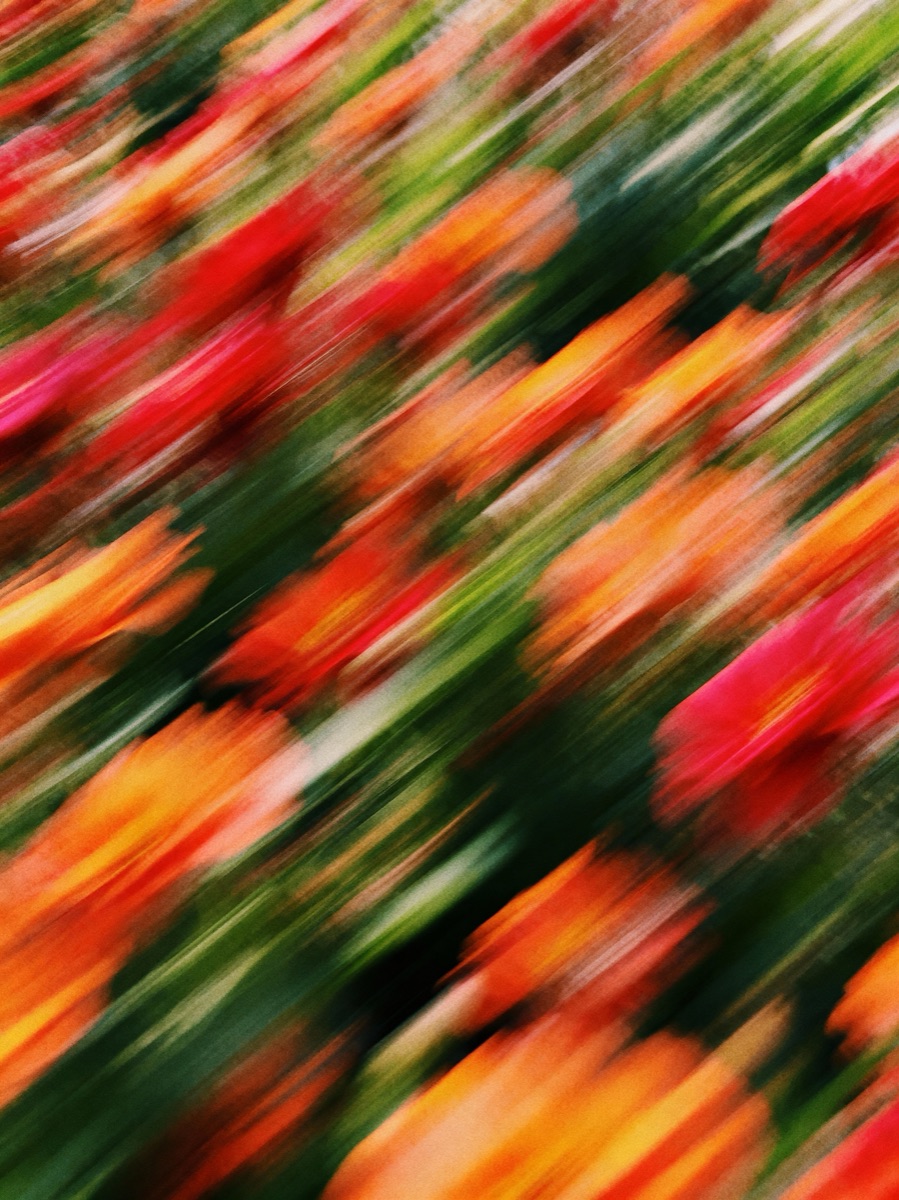 Nature In Motion 30