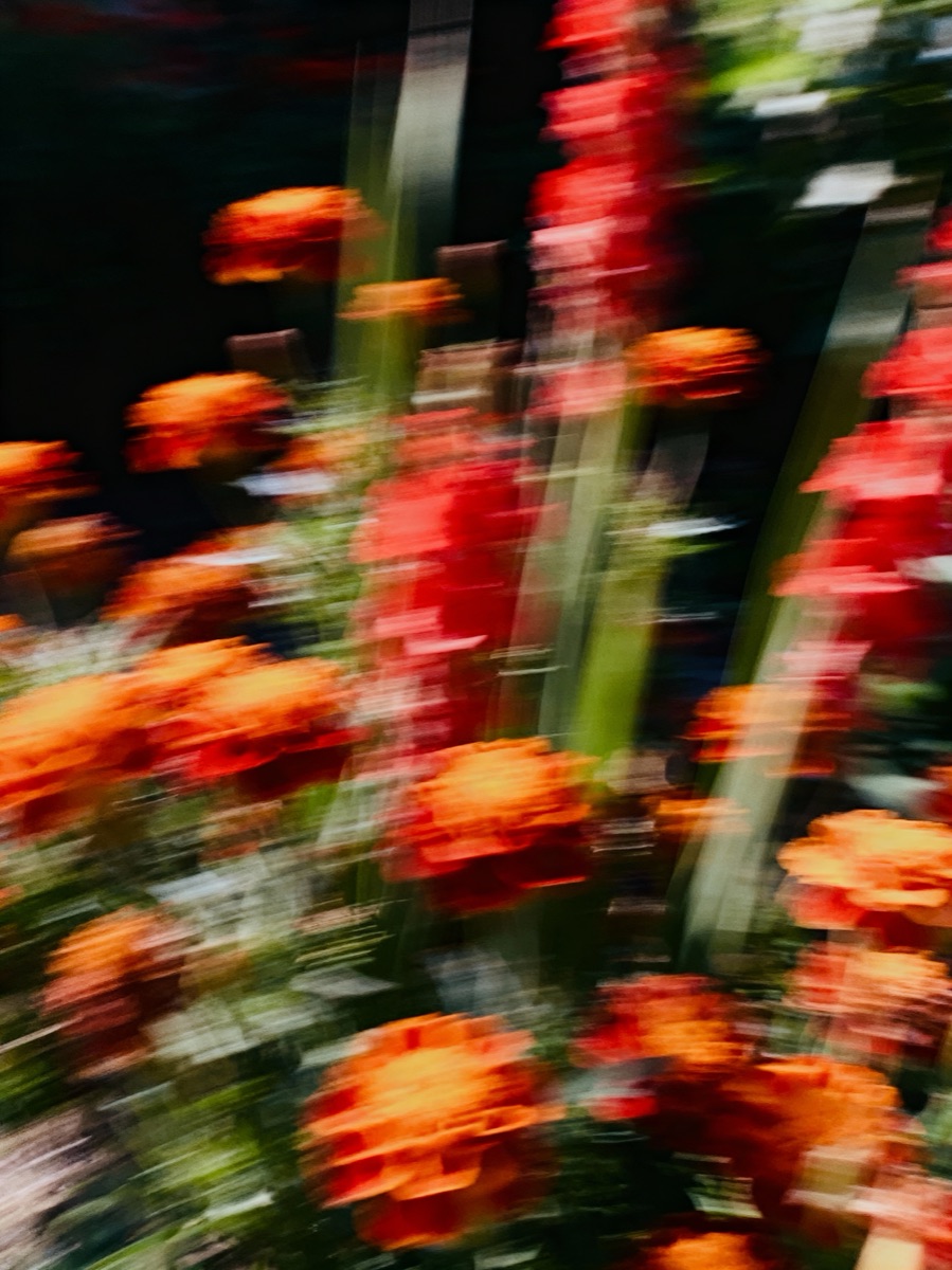 Nature In Motion 32