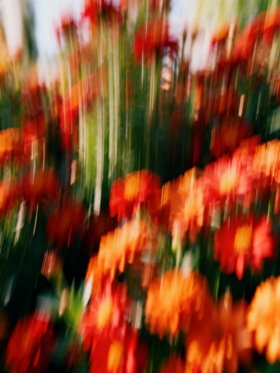Nature In Motion 33