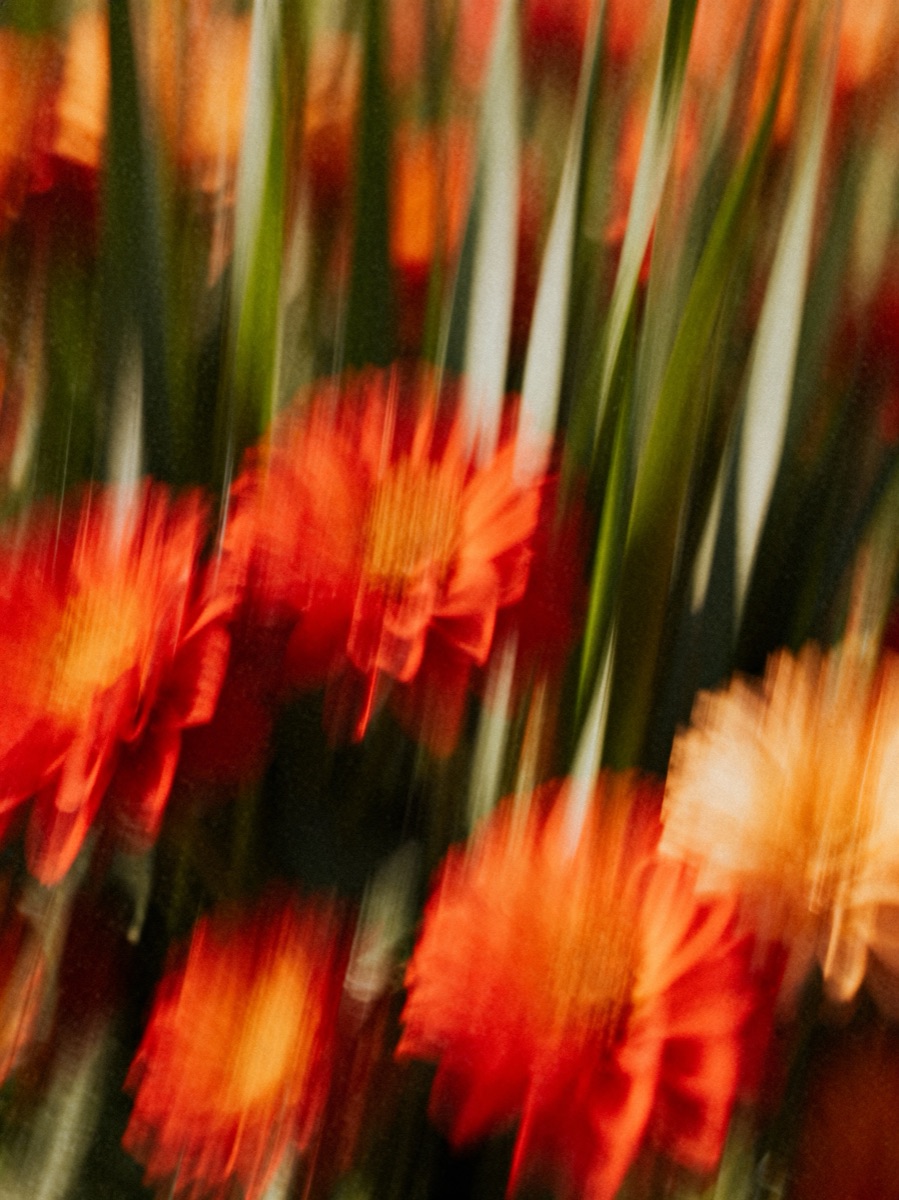 Nature In Motion 34