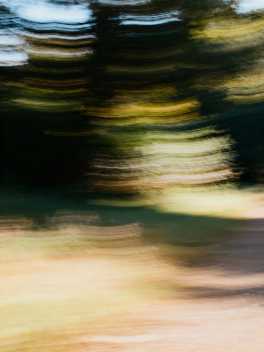 Nature In Motion 35