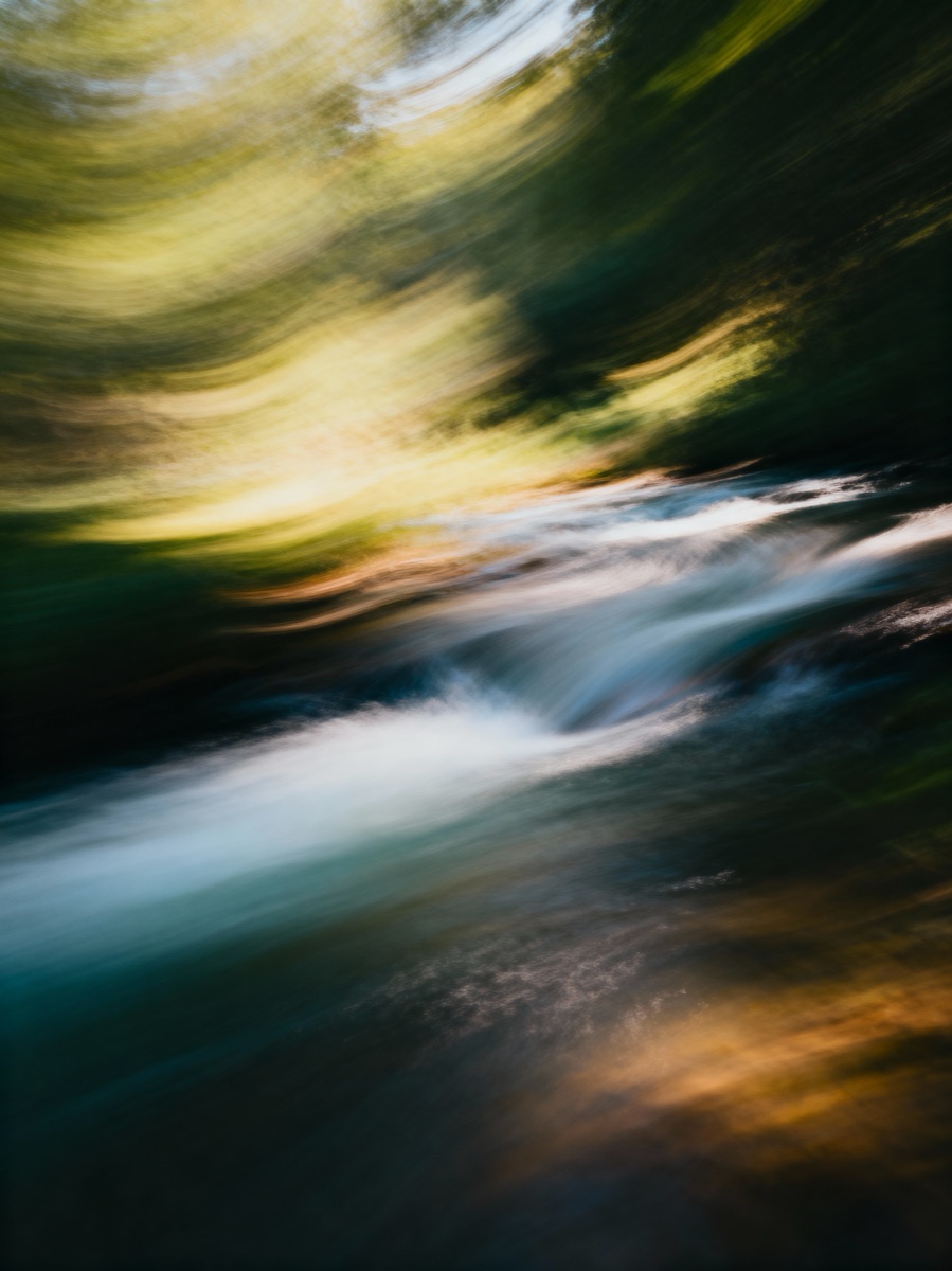 Nature In Motion 36