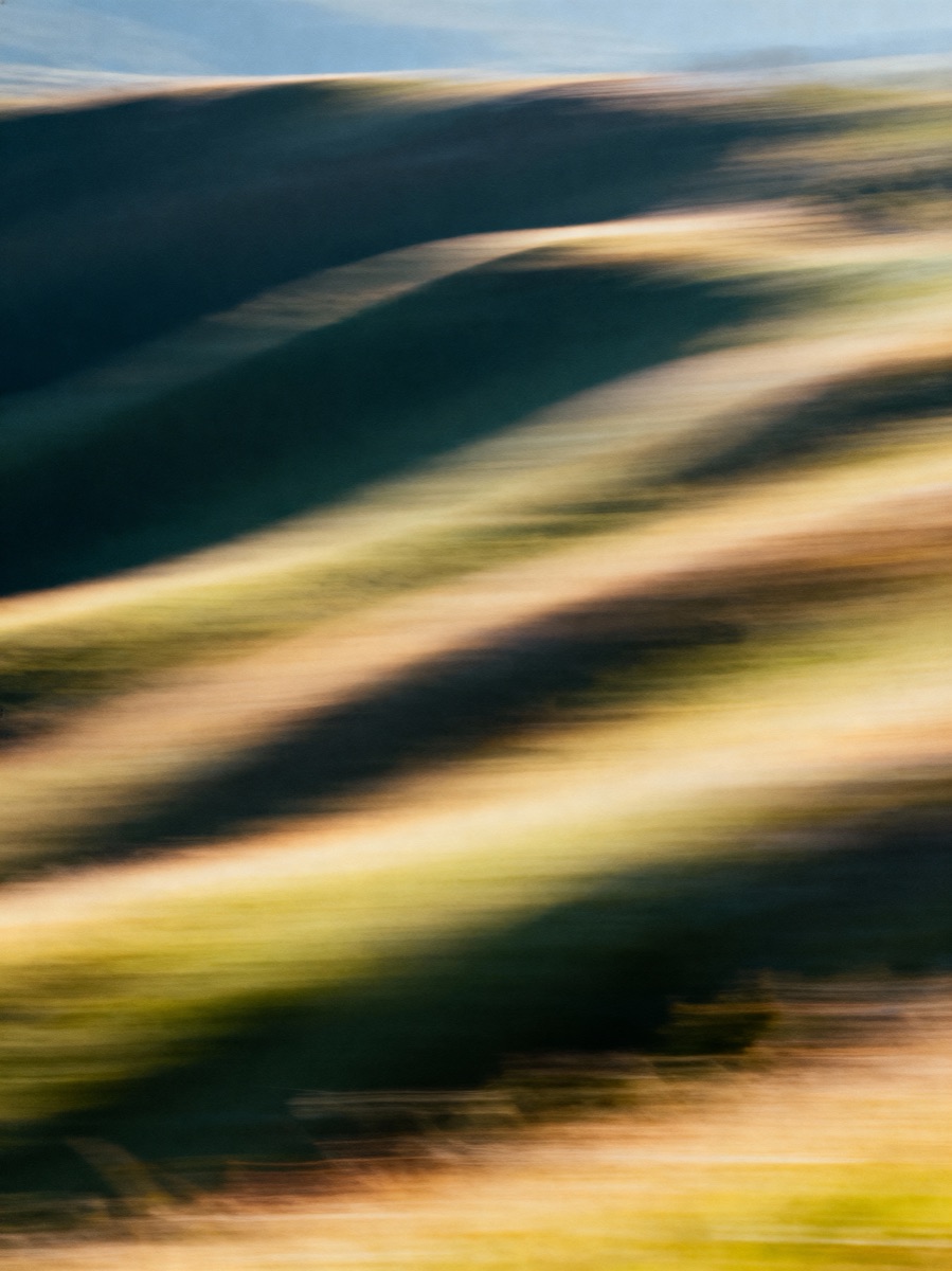Nature In Motion 37