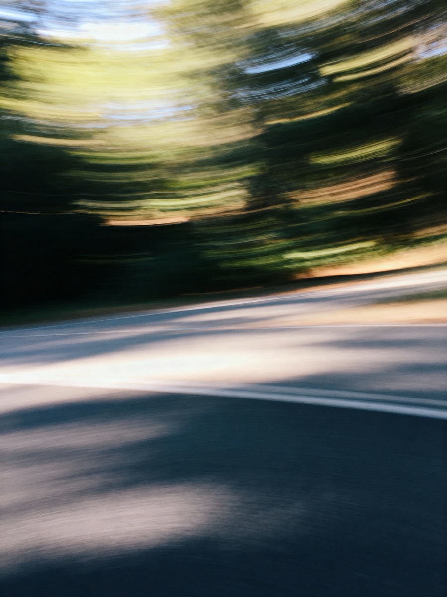 Nature In Motion 38