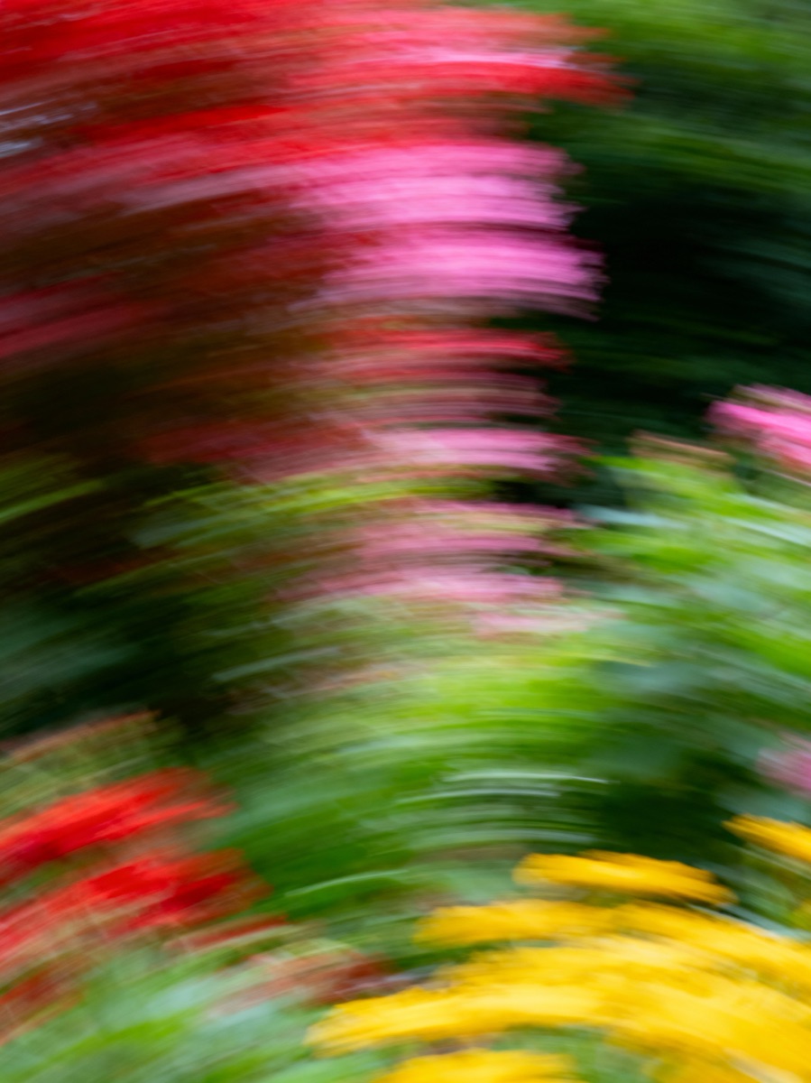 Nature In Motion 39