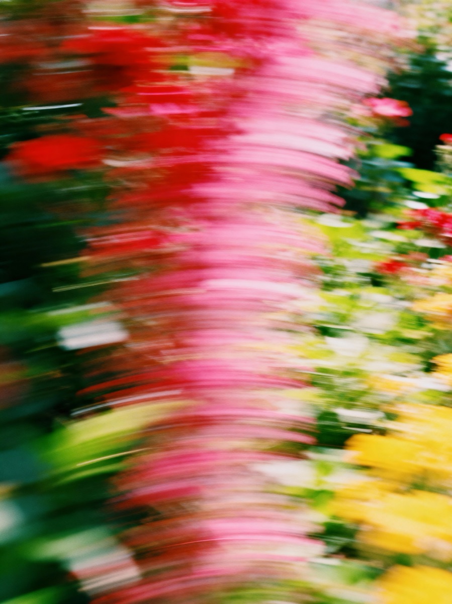 Nature In Motion 40