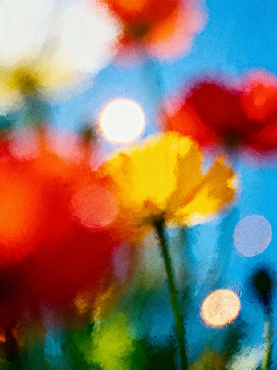 Nature In Motion 41
