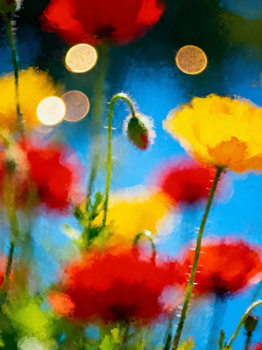 Nature In Motion 43