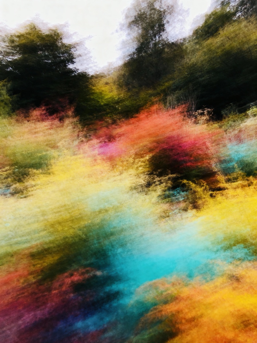 Nature In Motion 46