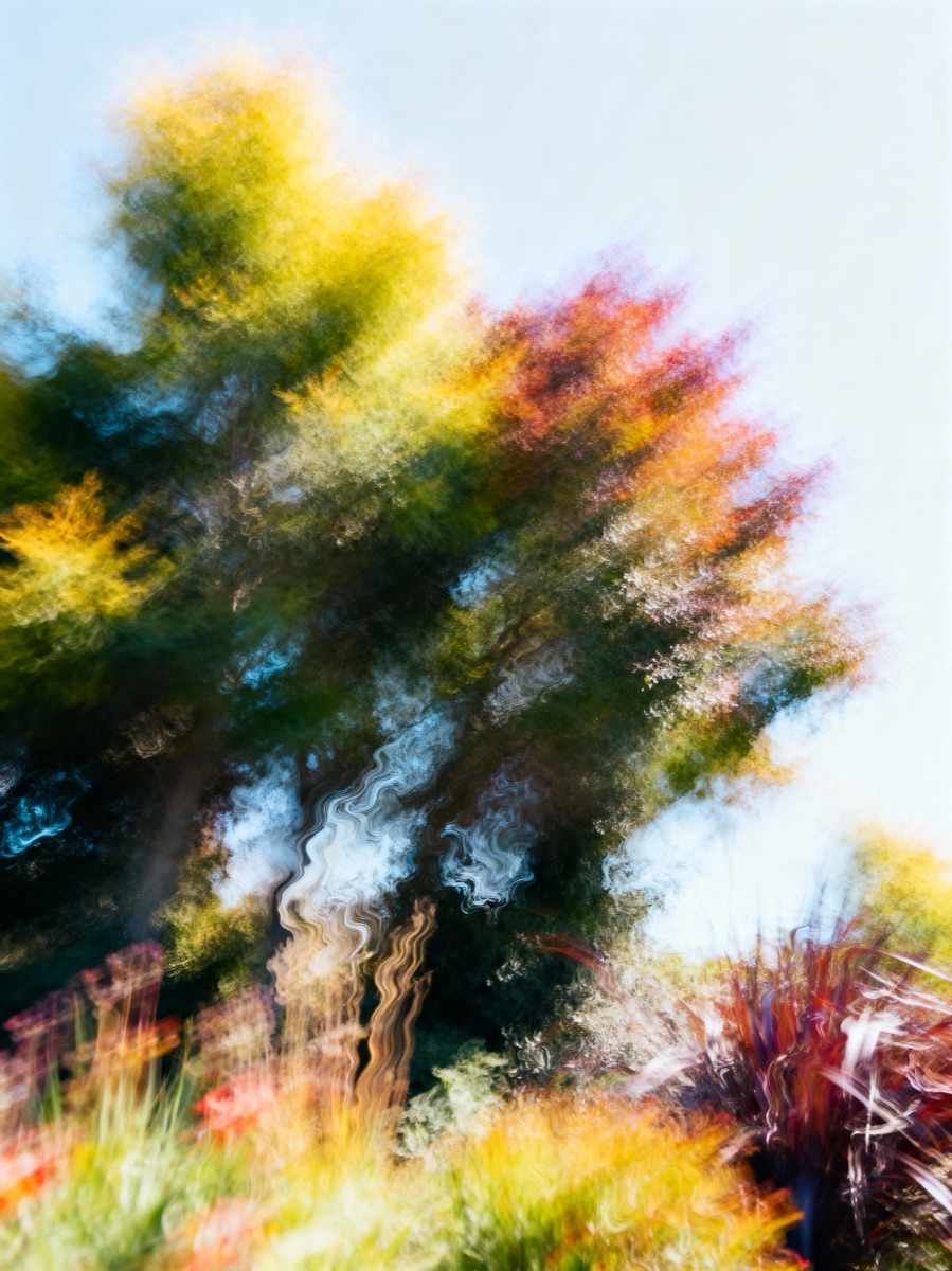 Nature In Motion 47