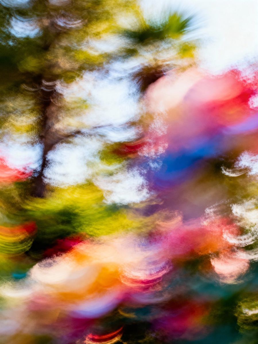 Nature In Motion 48