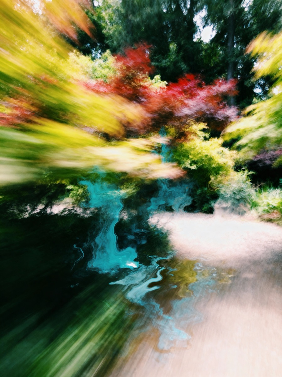 Nature In Motion 49