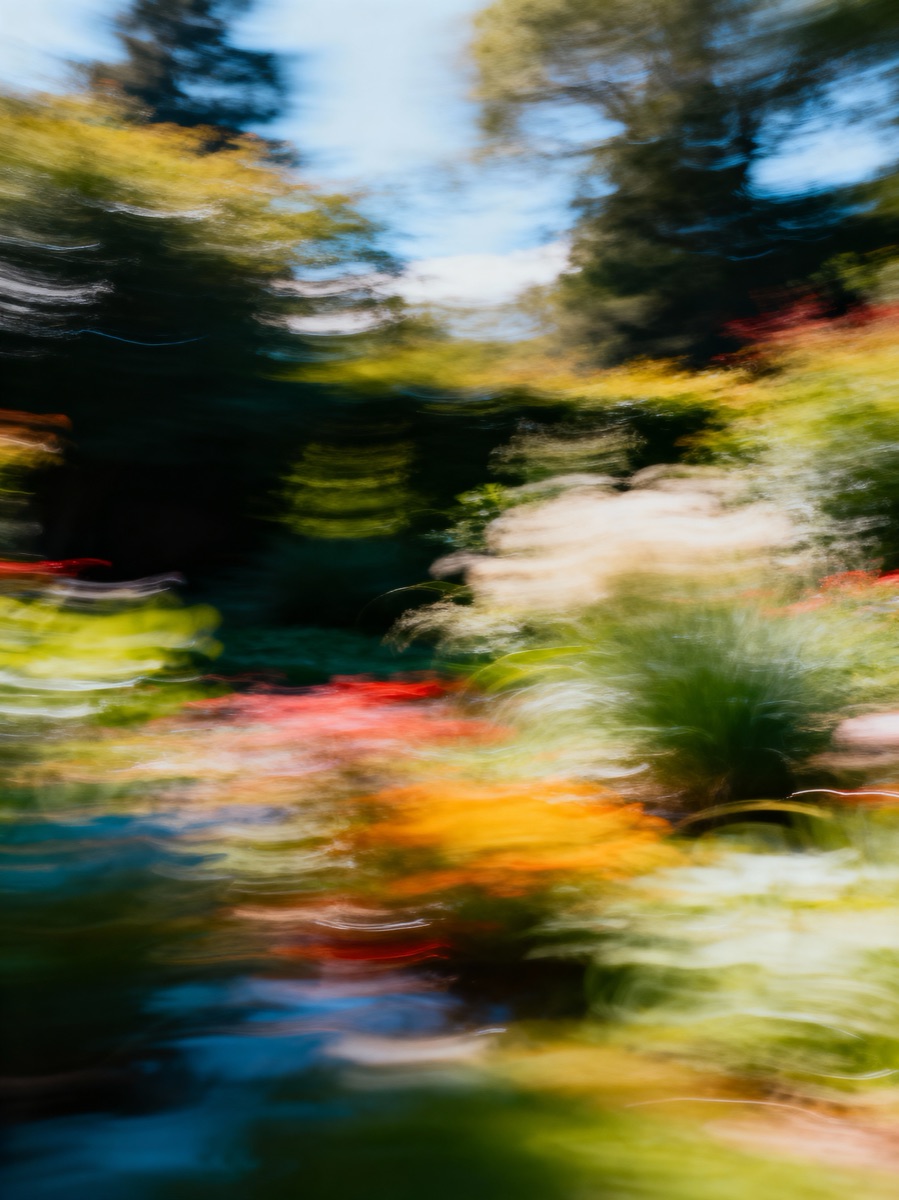 Nature In Motion 50