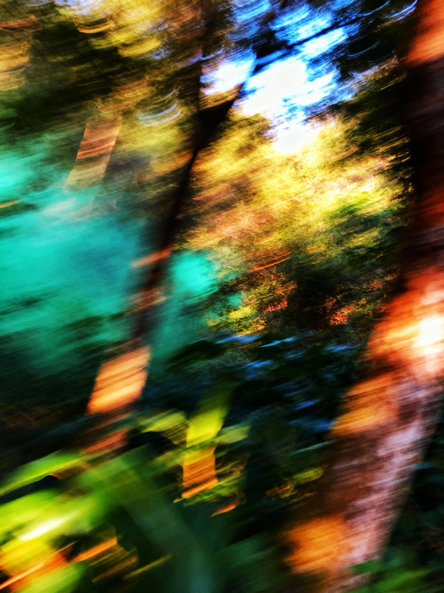 Nature In Motion 51