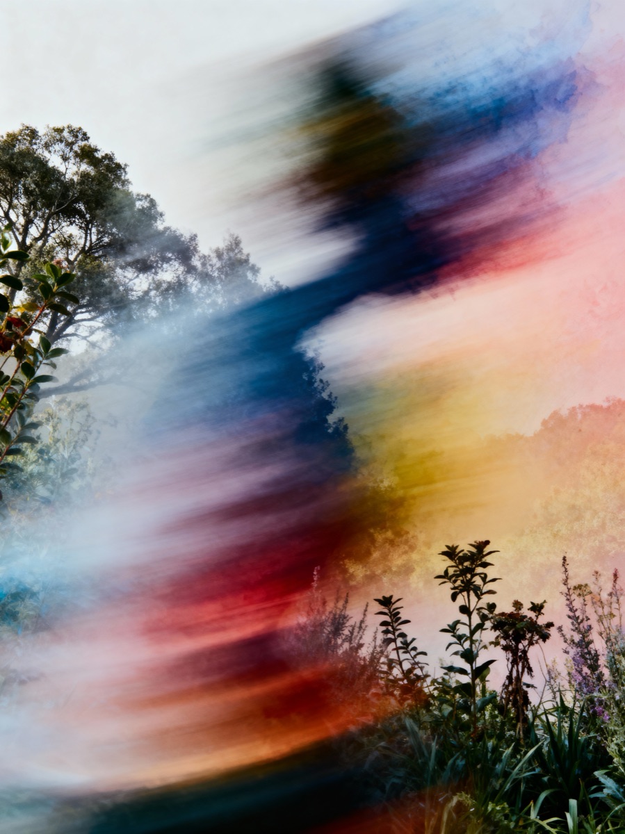 Nature In Motion 52