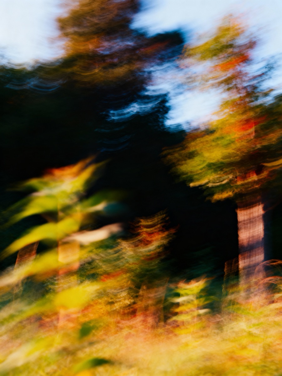 Nature In Motion 53