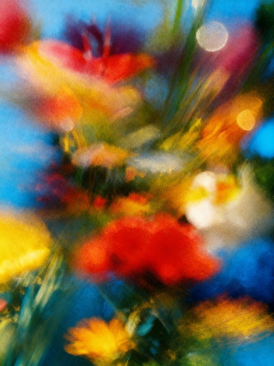 Nature In Motion 54