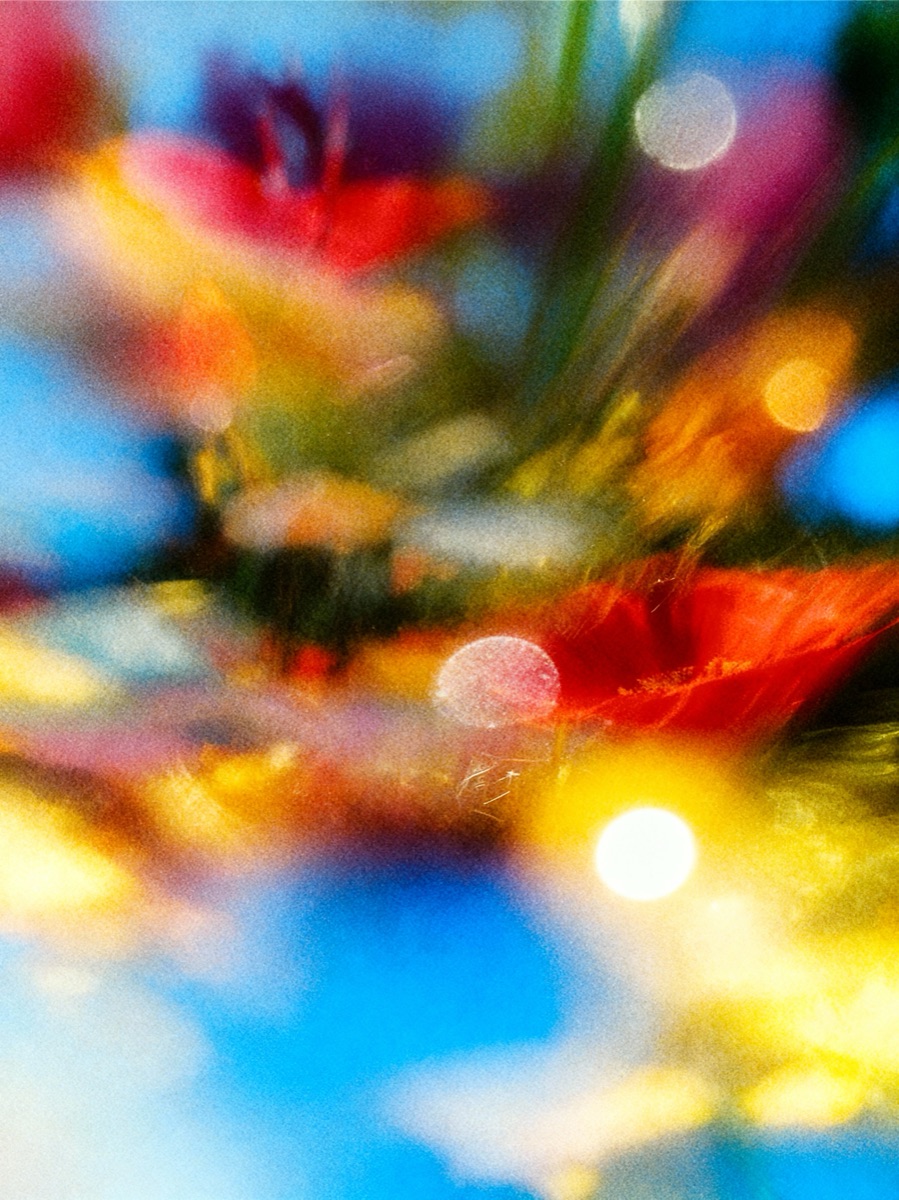 Nature In Motion 57