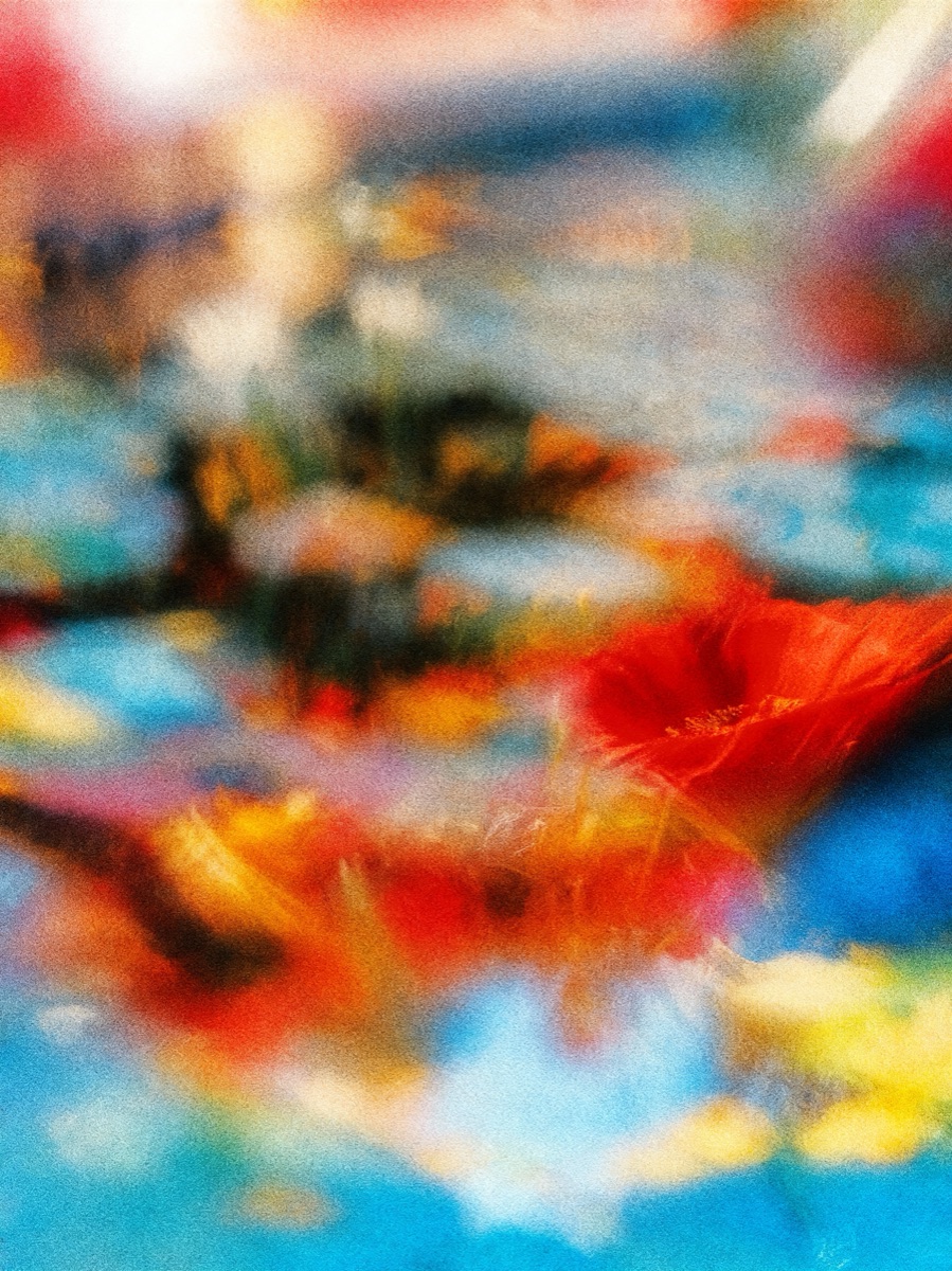 Nature In Motion 58