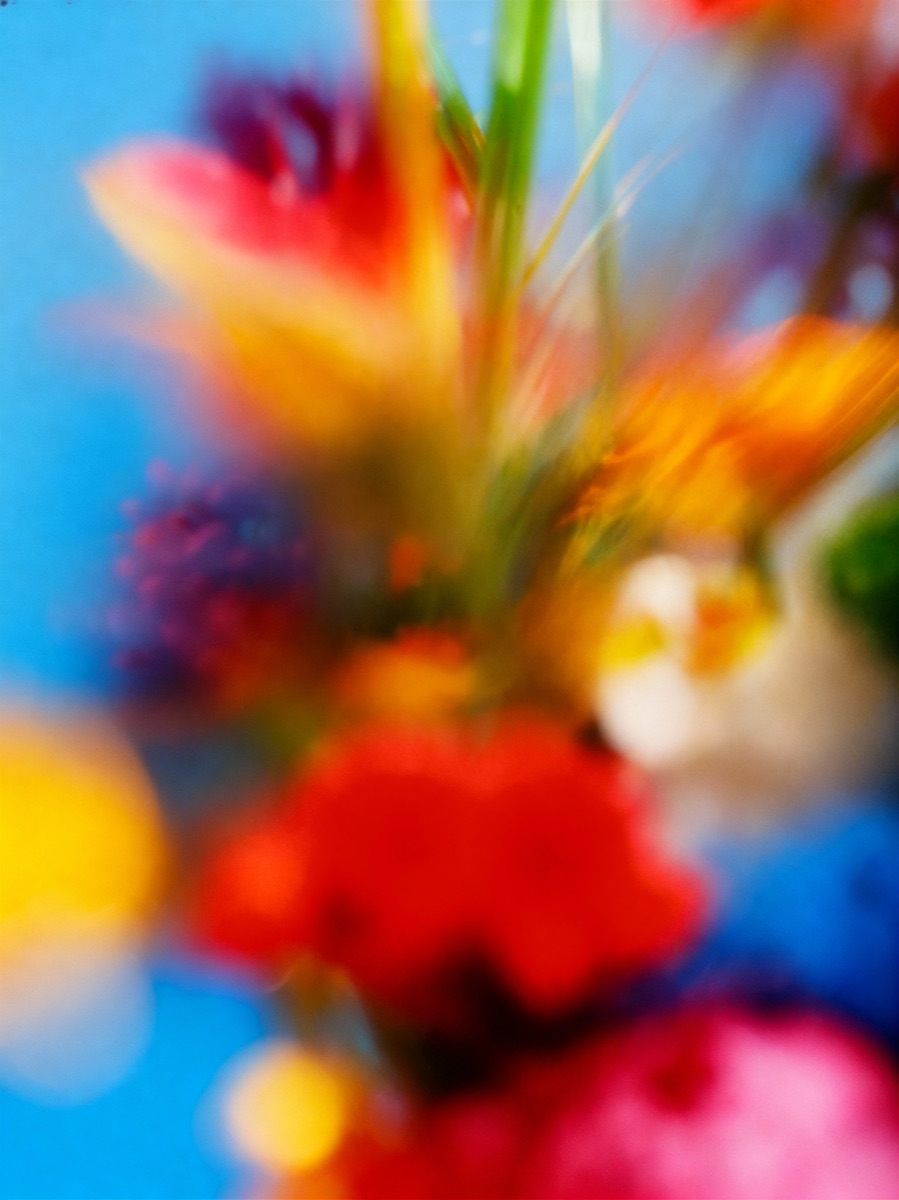 Nature In Motion 59