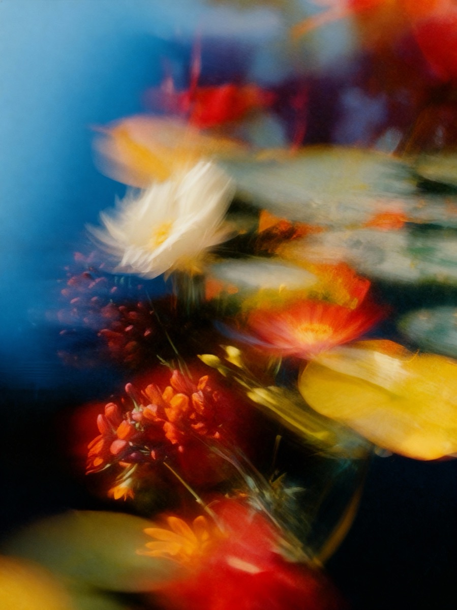 Nature In Motion 60