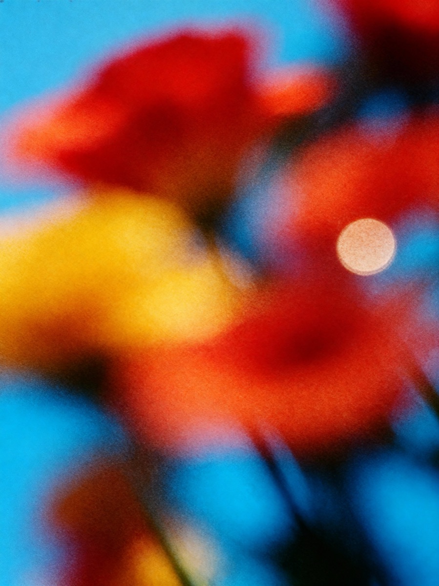 Nature In Motion 61