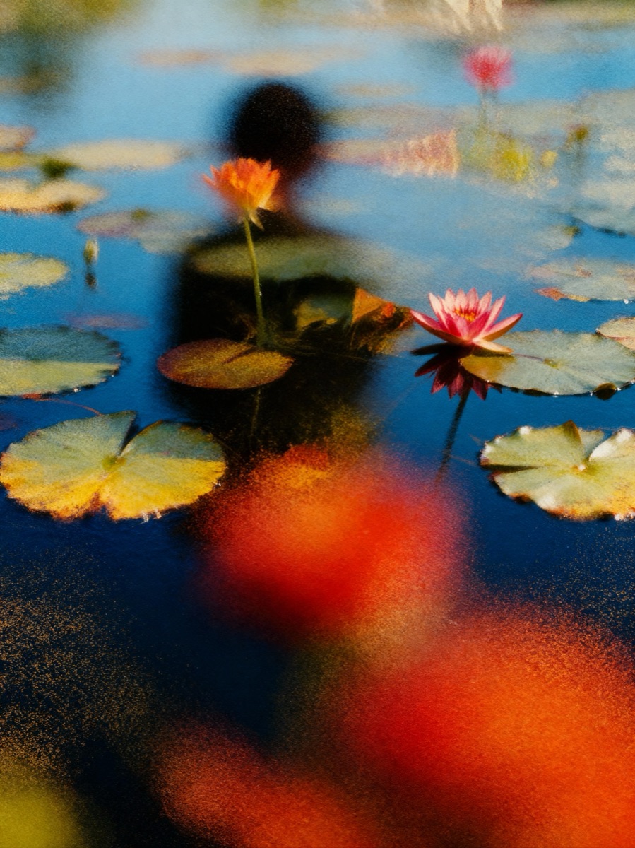 Nature In Motion 62