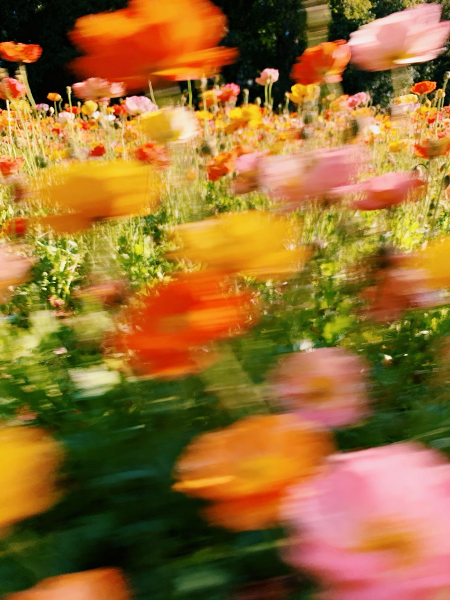 Nature In Motion 63