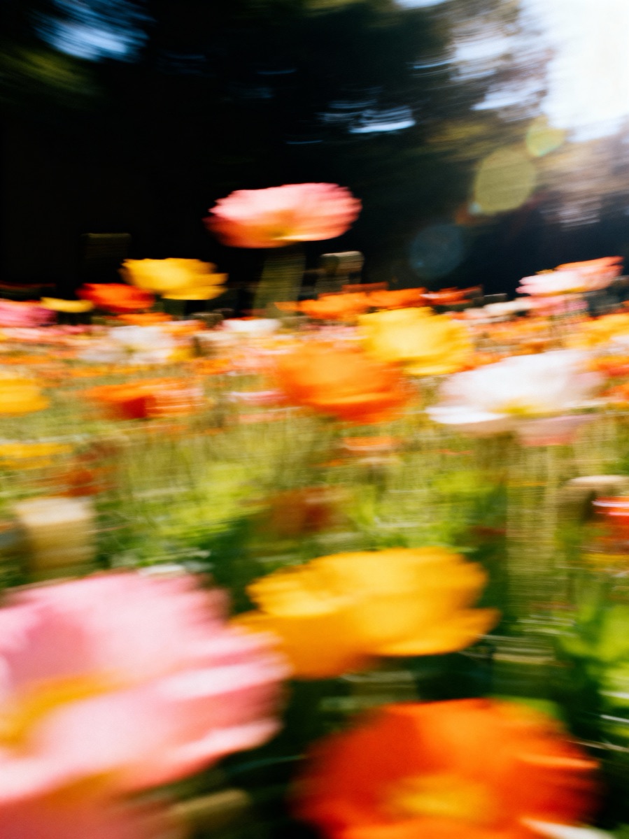 Nature In Motion 64
