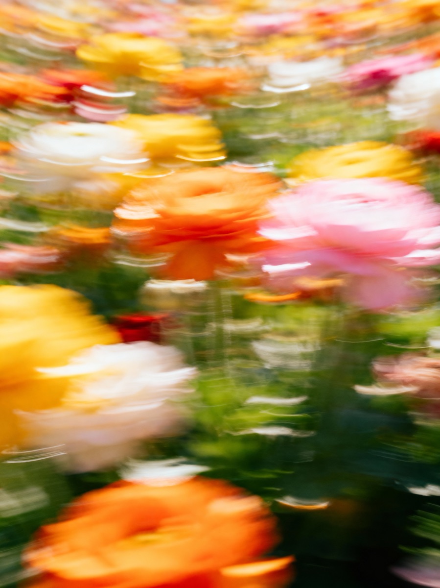 Nature In Motion 65