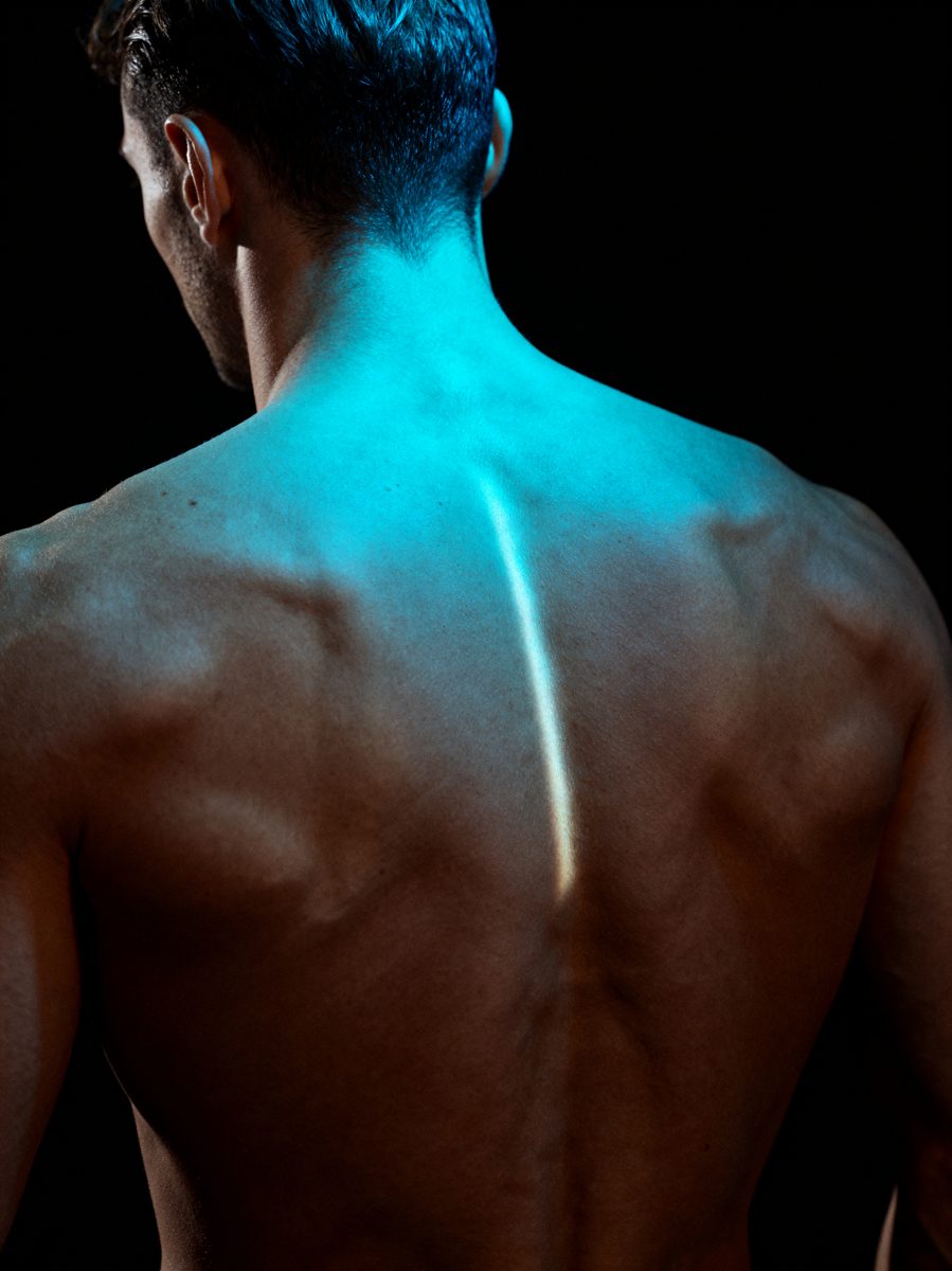 Illuminated Spine