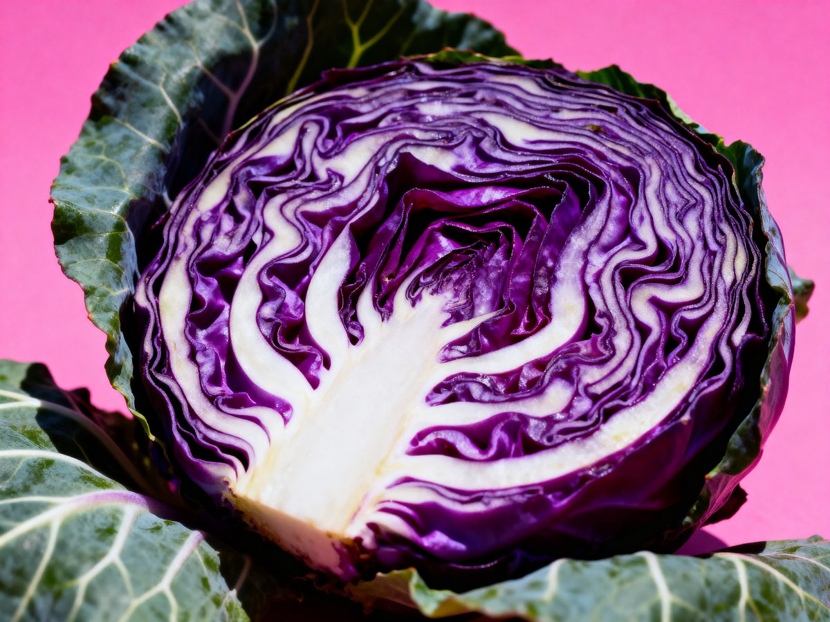 Halved Red Cabbage on Pink